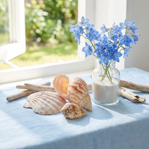 Natürliche Muschel-Deko aus Jakobsmuscheln und Seeschnecken, 350 g, 3 Netze | Floristik24.at