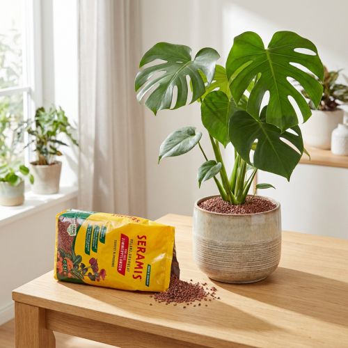 Seramis Ton-Pflanzgranulat für Zimmerpflanzen 2,5 Liter | Floristik24.at