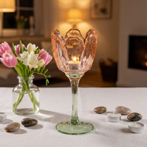 Teelichthalter Glas 20 cm Tulpenform Orange für Innenbereiche | Floristik24.at