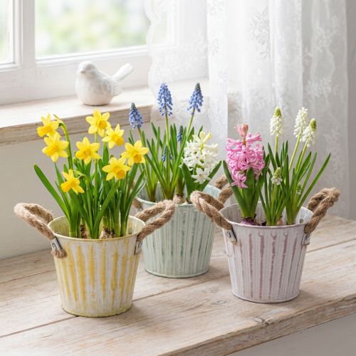 Pflanzeimer-Set aus Metall mit Jute-Henkeln, Ø 12 cm, H 10 cm, Rosa/Grün/Gelb, 3 Stück | Floristik24.at