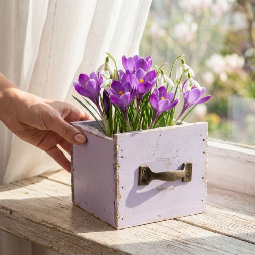 Schublade aus Holz Lila mit Metallgriff 12,5×12,5×10cm für Dekoration und Bepflanzung | Floristik24.at