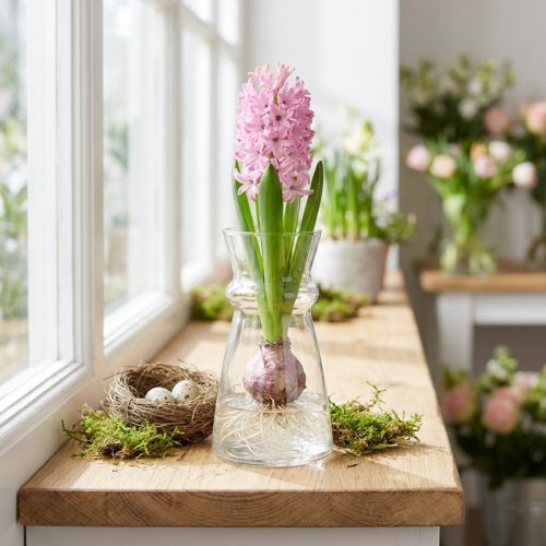 Artikel Glasvase transparent Ø7cm H13cm für Dekoration
