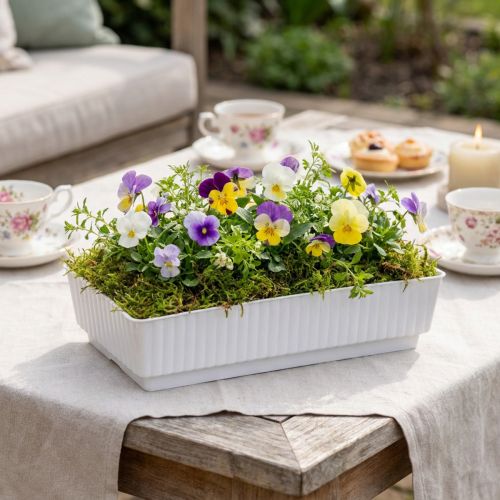 Steckschale aus Kunststoff für Blumengestecke 15x8x4cm Weiß 10 Stück | Floristik24.at
