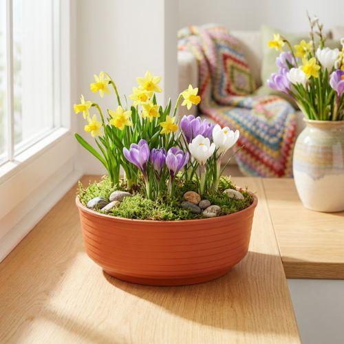 Z-Schale aus Plastik Ø16 cm terrakottafarben 10 Stück | Floristik24.at