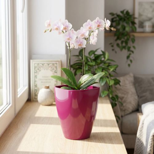 Orchideentopf Kunststoff glänzend Ø12,5cm Kirsche 1 Stück | Floristik24.at