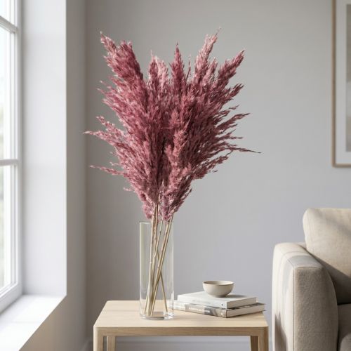 Trockengras Riedgras getrocknet Dekogras Altrosa 75cm 10 St | Floristik24.at