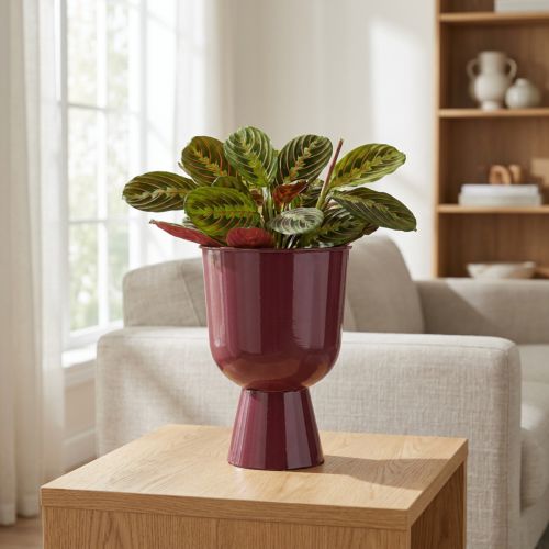 Metall-Blumentopf Pokalform 23 cm Bordeauxrot dekorativ | Floristik24.at