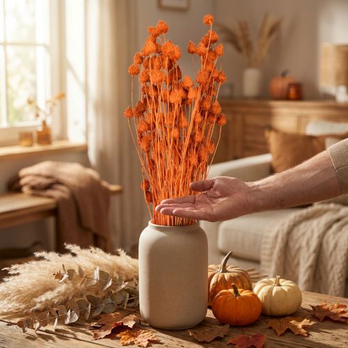 Trockenblumen Erdbeer-Disteln Orange, ca. 60cm, 100g | Floristik24.at