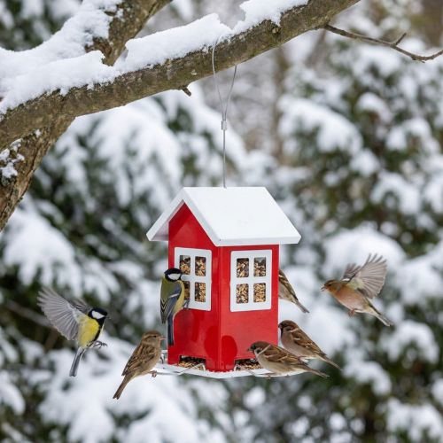 Vogelfutterstation aus Metall, rot-weiß, 19 cm hoch, für den Außenbereich | Floristik24.at