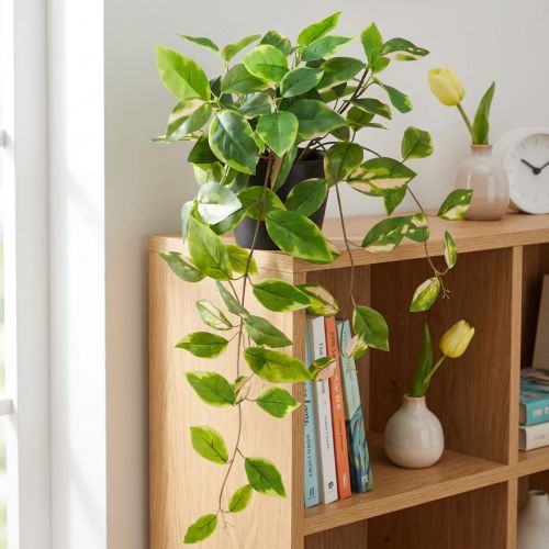 Philodendron Scindapsus künstlich mit Topf, 32cm, für Wohn- und Arbeitsräume | Floristik24.at