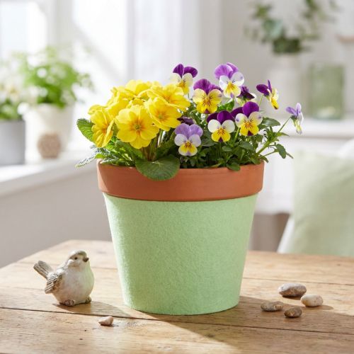 Filzband Topfband Hellgrün 15cm 5m | Floristik24.at