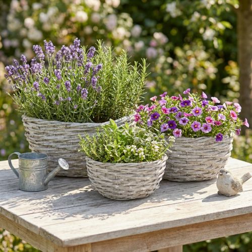 Artikel Pflanzkorb Set aus Weide rund weißgrau 3-teilig Ø 20/25/30 cm