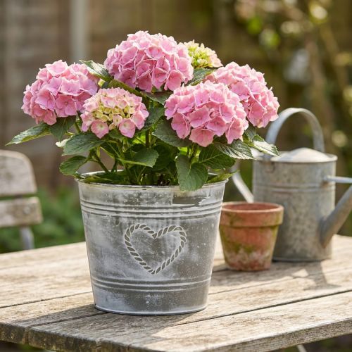 Blumentopf aus Metall mit Herzmotiv, Ø22cm, H17,5cm, grau-weiß gewaschen, für innen und außen | Floristik24.at