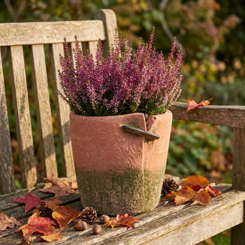 Beton Übertopf Ø18cm H17cm Terracotta-Grün für Blumen und Kräuter | Floristik24.at