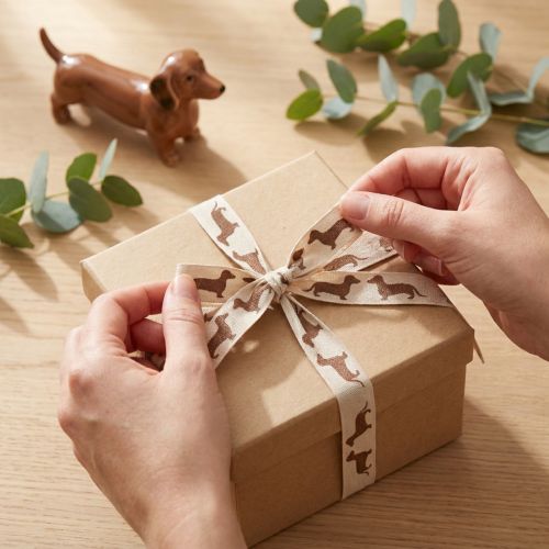 Artikel Geschenkband Dackelmotiv Creme Braun 15mm x 18m Aus Polyester für Innenbereich