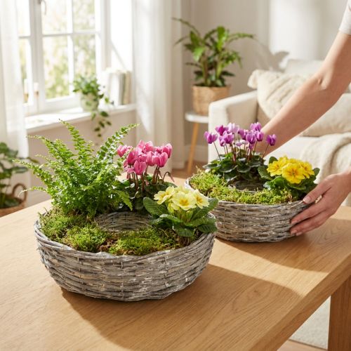 Artikel Pflanzschale aus weiß gewaschener Weide Ø25/30cm 2er-Set