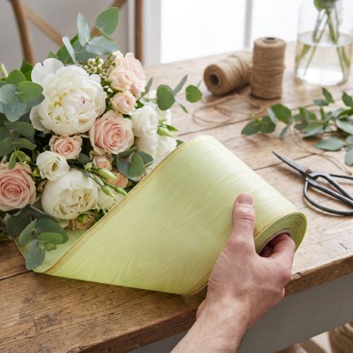 Kranzband aus Acetat und Polyester, Moiré-Optik, hellgrün mit Goldrand, 175mm x 25m, floristische Dekoration | Floristik24.at