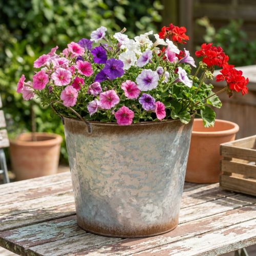 Pflanztopf aus Metall mit Griffen Ø26cm H25,5cm Silber-Rostfarben | Floristik24.at