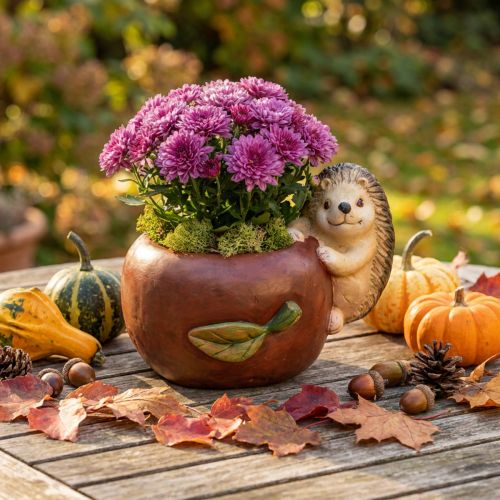 Keramik Pflanzgefäß Apfelform mit Igel, Ø16 cm, H22 cm, B33 cm, Herbstdeko, rot-braun | Floristik24.at