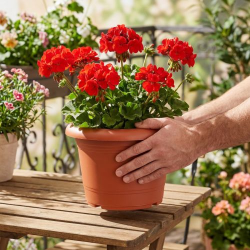 Artikel Pflanztopf Kunststoff Terrakotta Ø25cm