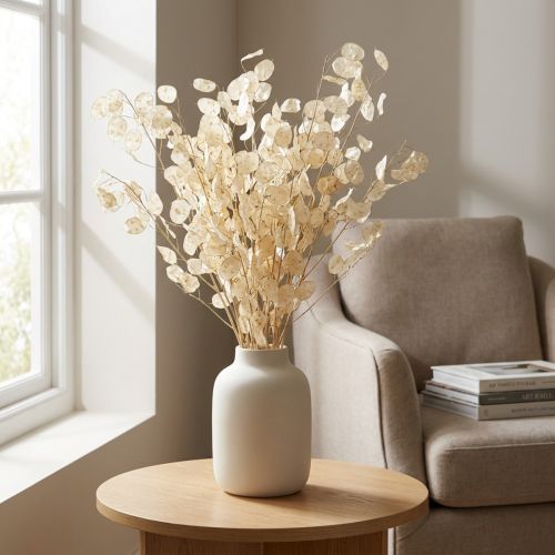 Lunaria Silberblatt, getrocknet, naturbelassen, 90cm, 100g | Floristik24.at