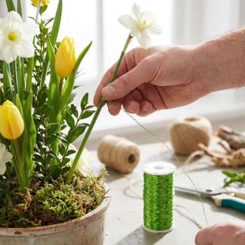Basteldraht Bouilloneffektdraht Kupferdraht Ø0,30mm 140m Apfelgrün | Floristik24.at