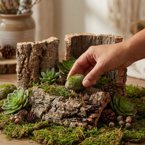 Korkrinde Natur 5er-Set Basteln Dekoration 30x20cm | Floristik24.at