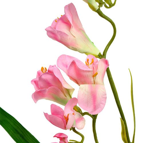 Floristik24 Freesie 56cm Rosa 4St