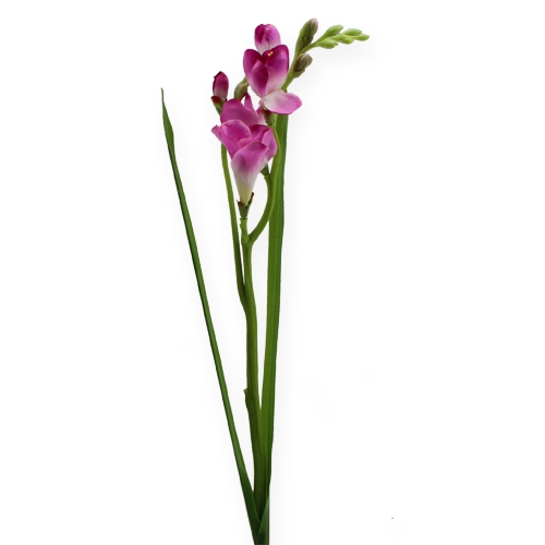 Floristik24 Kunstblume Fresien 56cm 3St.