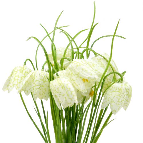 Artikel Schachbrettblumen Fritillaria künstlich Weiß, Grün 40cm 12St