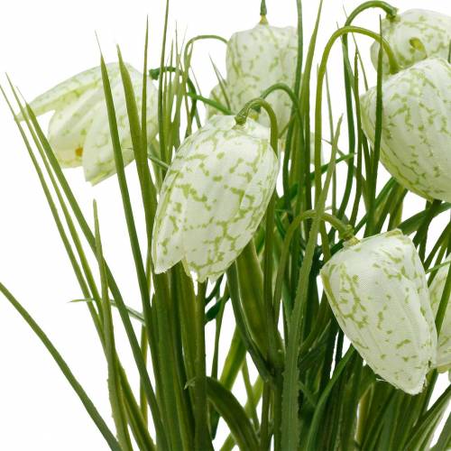 Fritillaria im Topf, Schachbrettblume Grün-Weiß, Kunstblume
