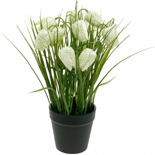 Fritillaria im Topf, Schachbrettblume Grün-Weiß, Kunstblume