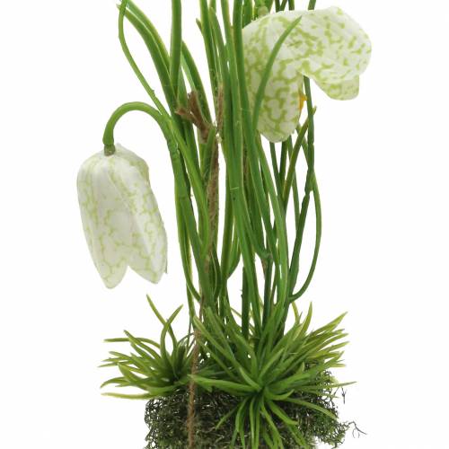Fritilaria in der Eischale zum Hängen künstlich Grün, Weiß 25cm