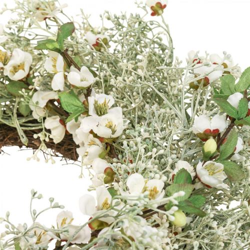 Floristik24 Frühlingskranz Kirschblüten Schleierkraut Kranz künstlich Ø50cm