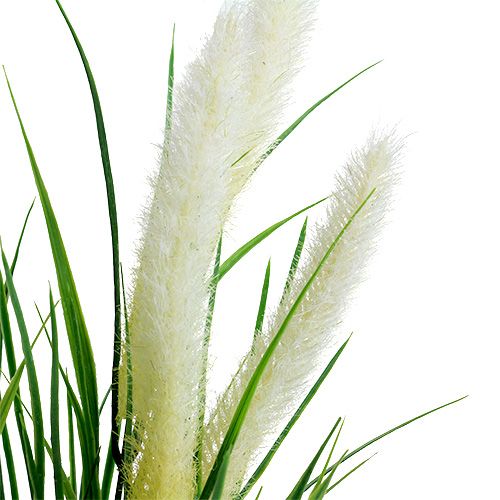 Floristik24 Fuchsschwanzgras Grün, Weiß 63cm