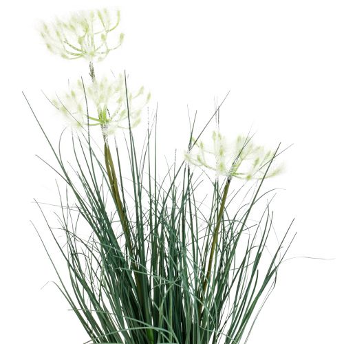 Floristik24 Binsen Gras Künstlich Blüte Kunstblumen im Topf 56cm