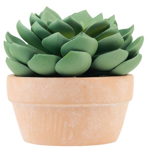 Sukkulente im Topf Echeveria künstlich Grün Ø15cm