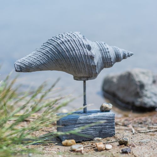 Floristik24 Gartenfigur Muschel am Ständer H30cm