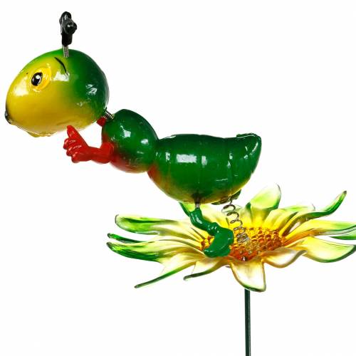 Floristik24 Gartenstecker Grille auf der Blüte Bunt 11cm