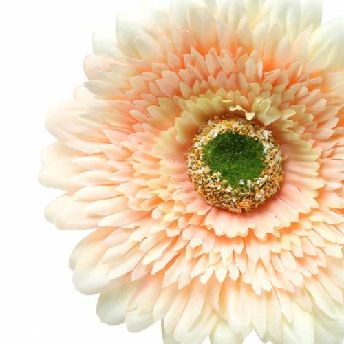 Floristik24 Gerbera künstlich Pfirsich 62cm 6St