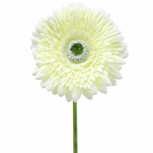 Floristik24 Gerbera künstlich Weiß 62cm 6St