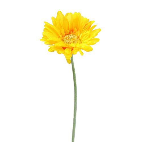 Floristik24 Gerbera künstlich Gelb Ø10cm L55cm 6St