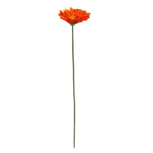 Floristik24 Gerbera Orange Ø10cm L55cm 6St