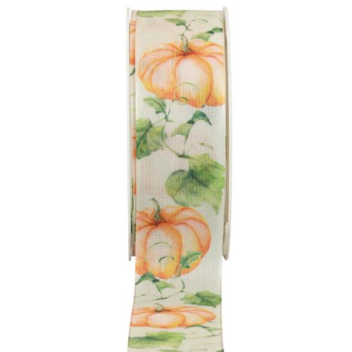 Floristik24 Geschenkband Kürbis Band Herbst Orange 40mm 15m