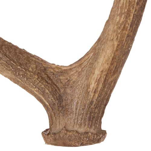 Deko-Geweih aus Polyresin