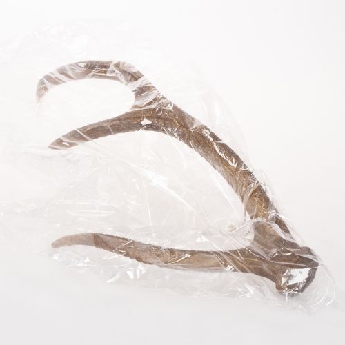 Deko-Geweih aus Polyresin