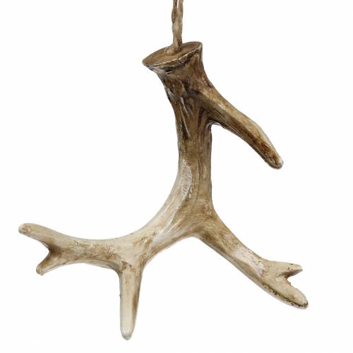 Floristik24 Weihnachtsanhänger Deko Geweih Christbaumschmuck 7cm 8 St