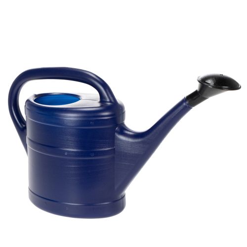Gießkanne 5l Blau bestellen | Floristik24.at
