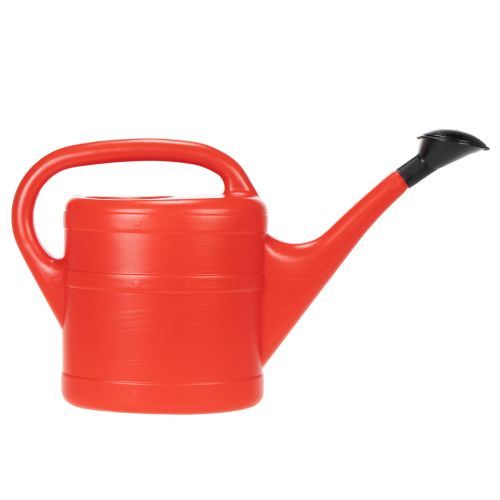 Gießkanne Rot 5l | Floristik24.at