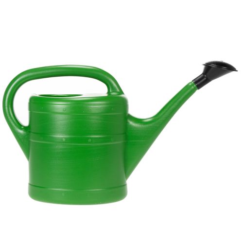 Gießkanne für Garten und Balkon, Pflanzpflege Accessoire 5L | Floristik24.at